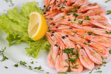 delicious food on a plate