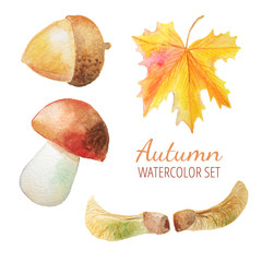 Set of watercolor autumn objects