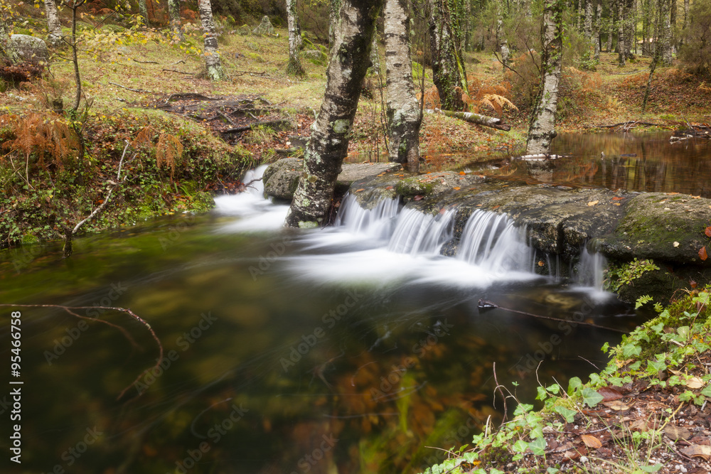 Wall mural River in Autumn season at Geres National Park, Portugal