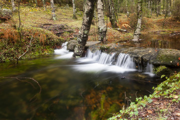 Fototapeta na wymiar River in Autumn season at Geres National Park, Portugal