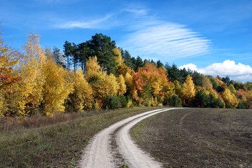Fototapeta na wymiar Beautiful landscape with road near autumn forest (loop, purpose,