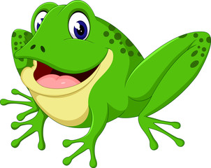Cartoon cute frog of illustration
