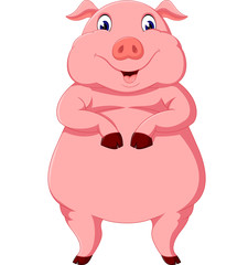 Cute pig cartoon posing of illustration
