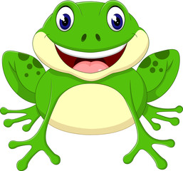 Cartoon cute frog of illustration
