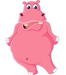 Cute hippo cartoon of illustration
