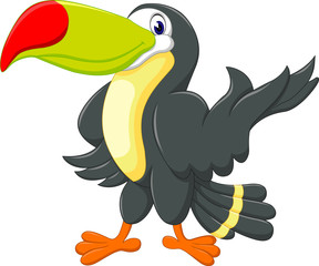 Cartoon happy bird toucan of illustration
