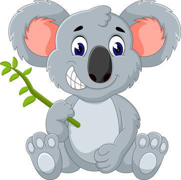 Cute koala cartoon of illustration
