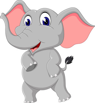 Cute elephant cartoon of illustration
