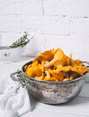 Chanterelles mushrooms in a metal bowl on a background of white brick wall