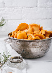 Chanterelles wild mushrooms in a round metal bowl on a background of white brick wall