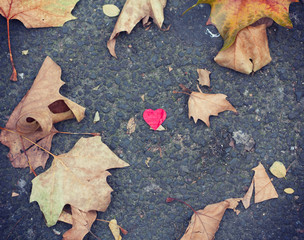 Red heart on concrete ground with autumnal leaves