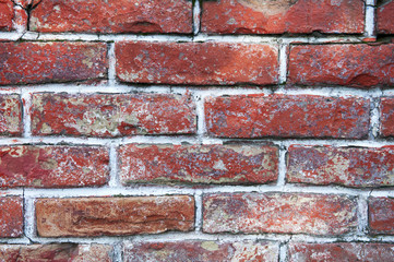Obraz premium Background of red brick wall texture