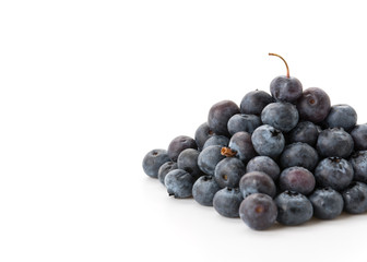 fresh blueberries