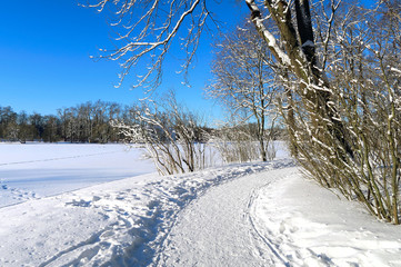 Winter Nature Landscape