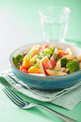 veggie penne pasta with broccoli tomato carrot