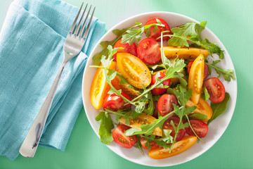 tomato salad with arugula over green background