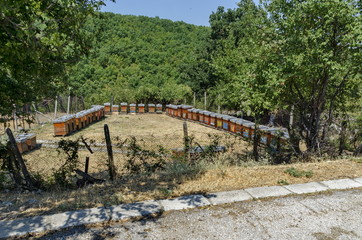 Fototapeta na wymiar Part of farmyard with apiary at Batkun Monastery 