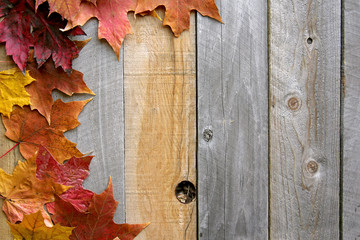 Naklejka na ściany i meble Autumn Maple Leaves Framing Rustic Wood Background