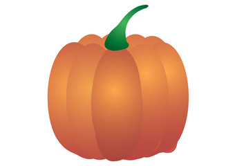 Vector illustration. Pumpkin on a white background.