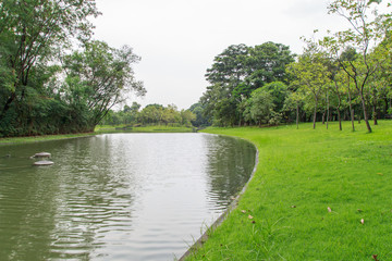 Tropical flower garden in Queen Sirikit Park