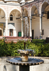 Fototapeta na wymiar fountain on the background of Pavilion