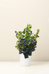 Winter floral arrangement with green leaves bouquet of dark blue berries a white vase