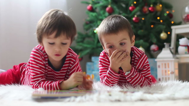 Two boys, reading a book in front of Christmas tree
