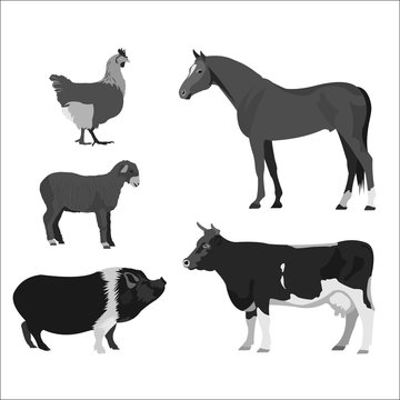 Animals farm. Cow, horse, lamb, chicken. Monochrome vector illus