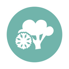 Frozen broccoli icon