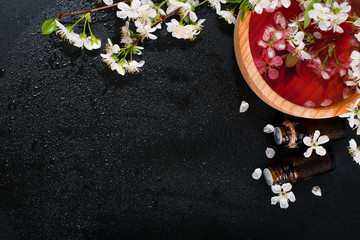 Spa concept on a dark background. Sea salt, flowering branches of cherry, aromatic oils
