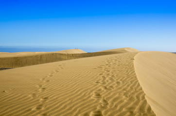 Dunes of Maspalomas