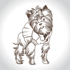 Dog, Yorkshire Terrier, linear vector logo.