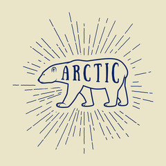 Vintage arctic white bear with slogan. Vector illustration