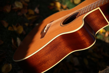 Obraz premium Gitarre Instrument Saiten