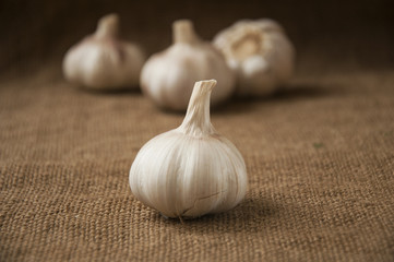 Garlic close-up on sacking. burlap background