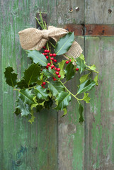Alter Holz Hintergrund, Stechpalme mit roten Beeren