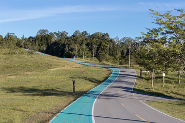 Bike way in national park