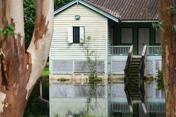 Old wooden abandoned house in a jungle with flooded from the lak