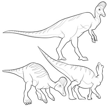corythosaurus lineart