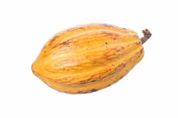 Cacao pod isolated on white