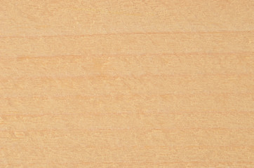 Fototapeta na wymiar Shot of wooden textured background, close up