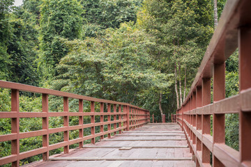 Walking wood bridge in the park