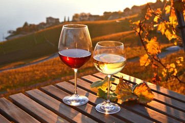 Wine against vineyards in Lavaux, Switzerland - 95495702