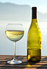 Wine against Geneva lake. Switzerland