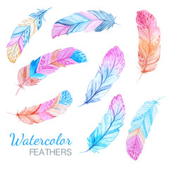 Watercolor feathers