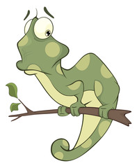 Fototapeta premium Big green Chameleon cartoon