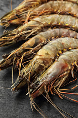 Rohe Riesengarnelen