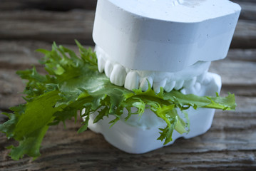 Gebissabdruck, Gipsabdruck, gesunde Ernährung, Zahngesundheit 