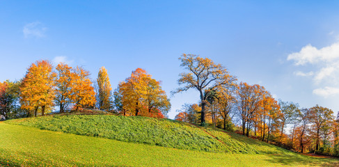 Parklandschaft im Herbst in Hamburg