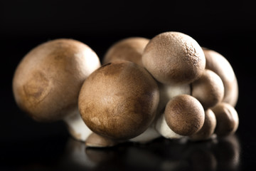 Baby bella mushrooms